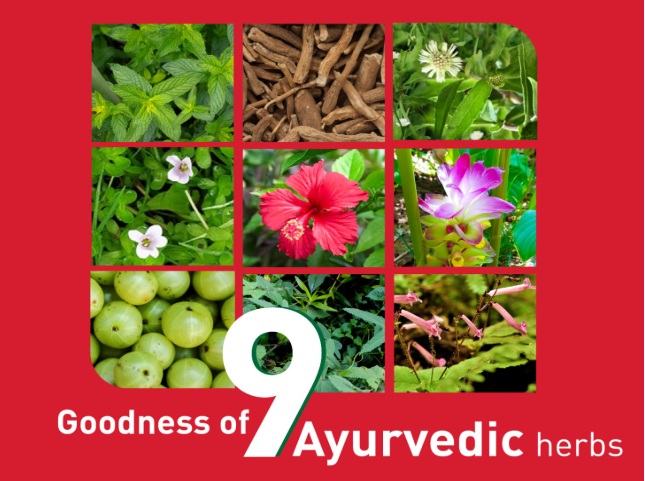 9 Ayurvedic Herbs for Stress Relief and Scalp Health